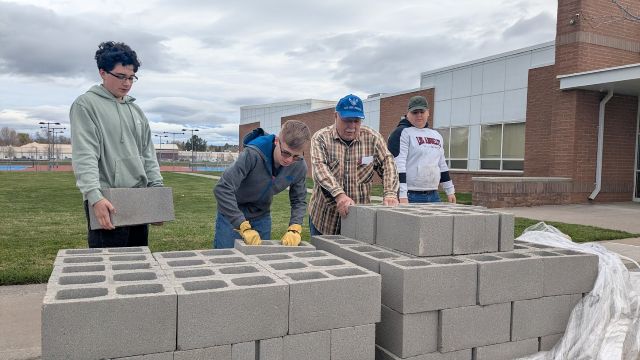 Bricks